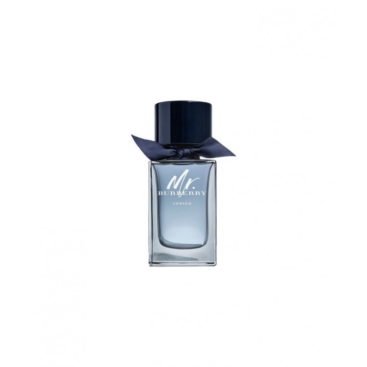 Burberry Mr. Burberry Indıgo EDT 100 ml Erkek Parfüm