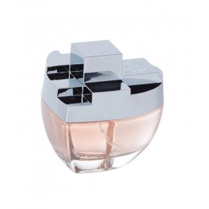 DKNY Myny EDP 100 ml Kadın Parfüm