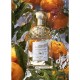 Guerlain Aqua Allegoria Mandarine Basilic EDT 75 ml Parfüm